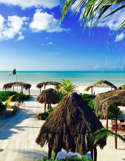 Vive Mayan Tours excursion a Holbox